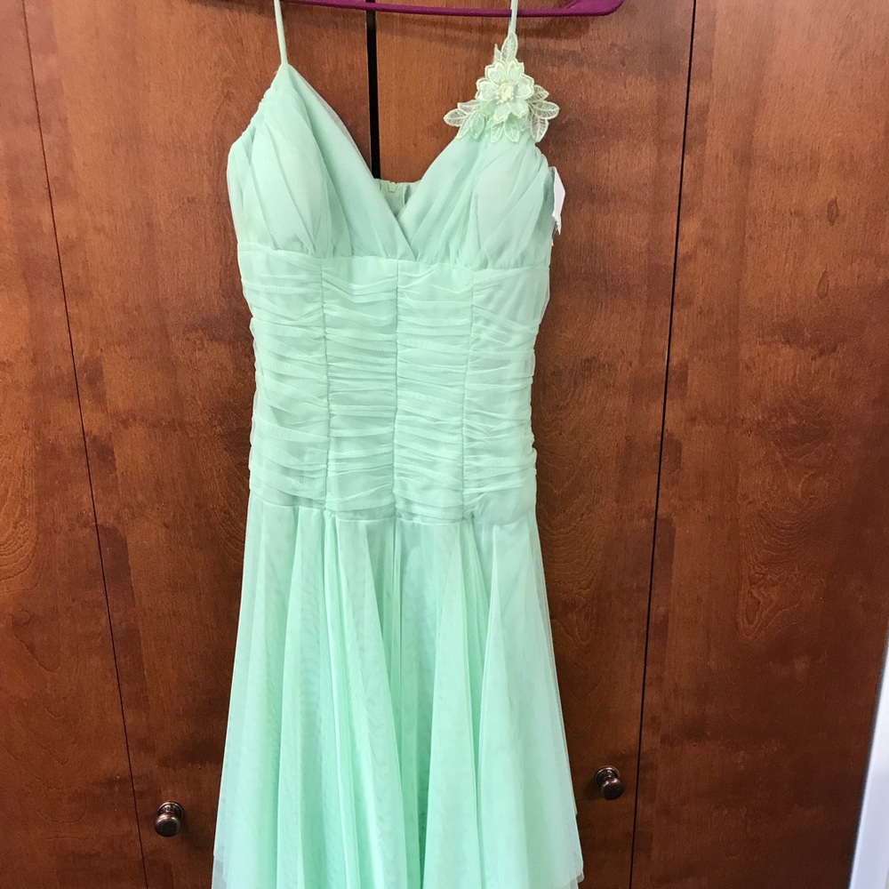 Vintage fairy dress